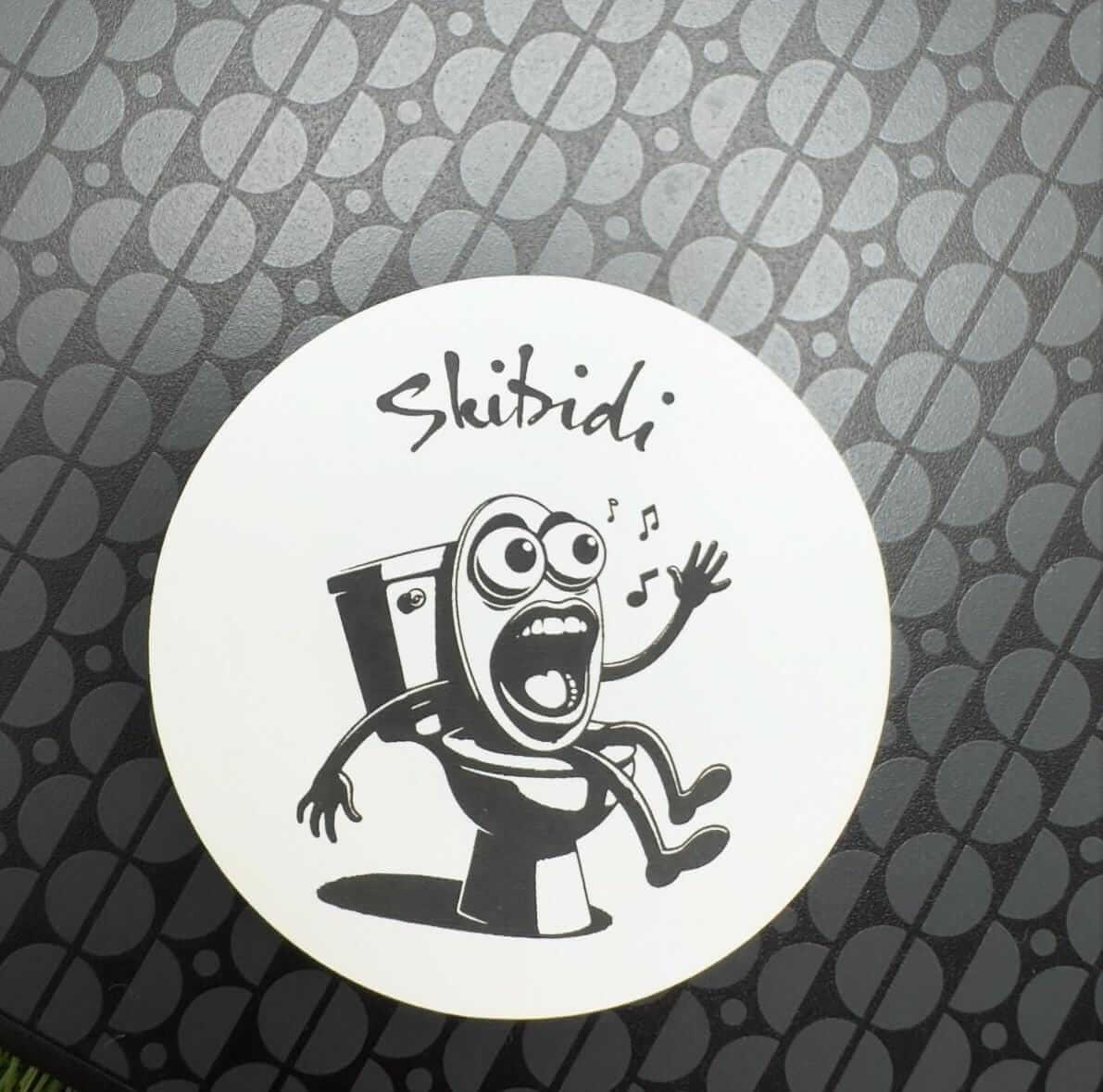 skibidi meme frisge magnet personalised teenage social media meme