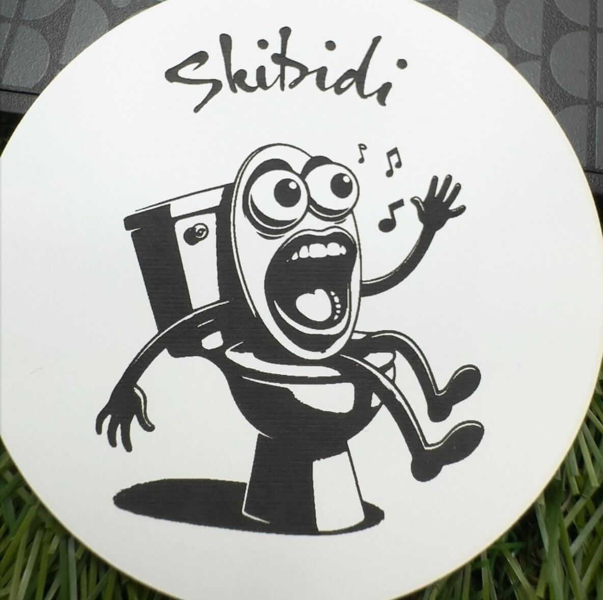 skibidi meme frisge magnet personalised teenage social media meme