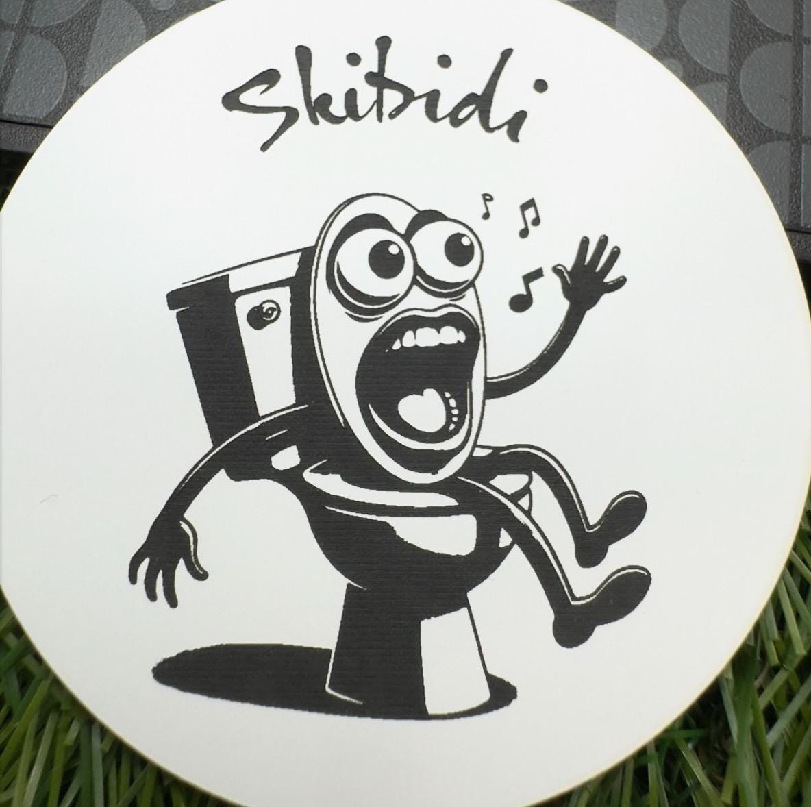 skibidi meme frisge magnet personalised teenage social media meme